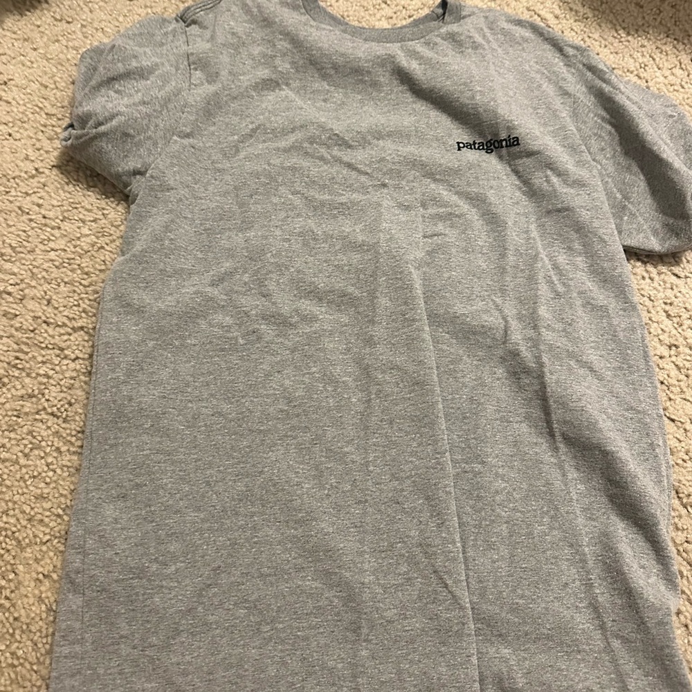 Patagonia T-shirt